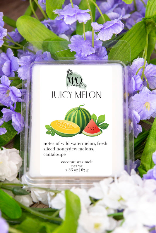 Juicy Melon Wax Melt