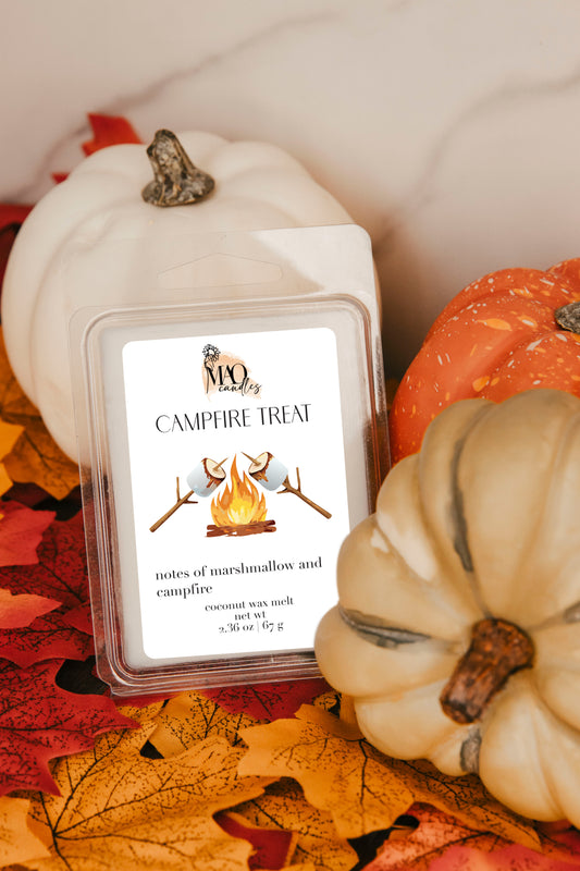 Campfire Treat Wax Melt